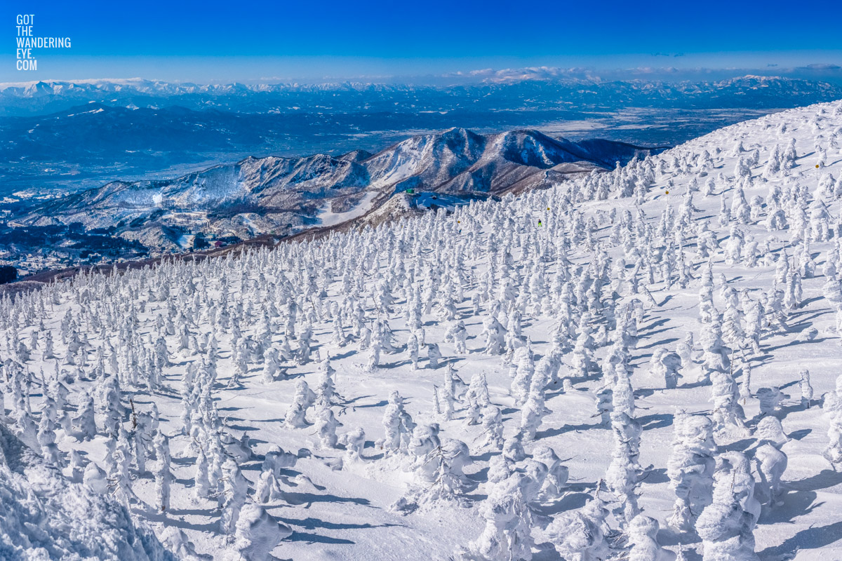 Mount Zao Mountain Range. Aerial view above snow covered Juhyo Snow Monsters in Yamagata Japan.